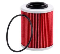 AHL 1 pièce Moto Filtre à huile 420956123 Pour Can-Am Ryker 600,Ryker 900, Ryker Rally 900 2019-2024/Street Bike: 2019-2020 Ryker 900 ACE/2019-2020 Ryker STD 600 ACE/2019-2020 Ryker STD 900 ACE