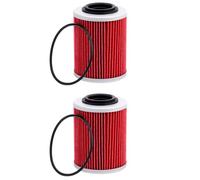 AHL 2 pièces Moto Filtre à huile 420956123 Pour Can-Am Ryker 600,Ryker 900, Ryker Rally 900 2019-2024/Street Bike: 2019-2020 Ryker 900 ACE/2019-2020 Ryker STD 600 ACE/2019-2020 Ryker STD 900 ACE