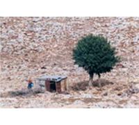 Ahlam Shibli - Lost Time