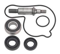 AHLkit de réparation de pompe à eau Compatible avec Yamaha,OEM 5TG-12439-00-00/5BE-12439-00-00,93102-11008-00,93102-12106-00/93102-12321-00,93306-00105-00,5GR-12458-00-00,93210-19758-00