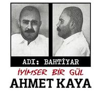 Ahmet Kaya - Adı Bahtiyar - İyimser Bir Gül (Plak)