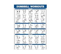 AHNEUUOY Visual Dumbbell Workout Guide - Home Gym Fitness Chart with Illustrated Exercises for Upper Body, Lower Body, Core and Back(Unframed,16x24inch(40x60cm))