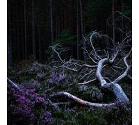 Aho Ssan - Aho Ssan & Resina-Ego Death [Import]
