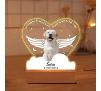 AHROZHOUIK Lampe Souvenir Personnalisée En Acrylique Pour Animaux Photo Personnalisée Lampe Souvenir Pour Chien Cadeau Pour Les Amoureux Des Animaux (Style 12)