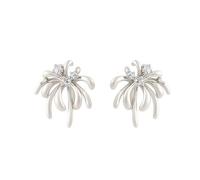 AHTCPO Ensemble Boucles Feux D'artifice en Émail, Boucles Simples Raffinées, Bijoux Quotidiens Tendance, Mixte pour Tous, Adapté à Porter et Offrir en Toutes Occasions