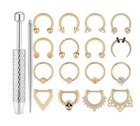 AHTCPO Ensemble de 18 Anneaux Nez en Forme Fer à Cheval Avec Outils, pour Cartilage Boucles D'Oreilles, Piercing, Argent Noir Or(Gold)
