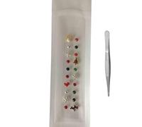 AHUAN Réflexologie Graines D'oreille Bijoux Acupression Graine D'oreille D'acupuncture Punk Décoratif Pour Halloween Ear Seeds Invisible Portable Pour Les Concerts(Christmas - 20 pcs)