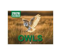 Ahuuen Calendrier Mural Hibou 2026,Éphéméride Planificateur Annuel 2026 | Illustrations Hiboux Organisation Temps Planification Liste Tâches Rendez-vous Objectifs