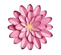 AHYS Décoration murale fleurs en métal, art mural intérieur/extérieur pour maison de style rustique, salon, chambre, salle de bain ou jardin, 30 cm, rose