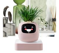 AI Pot de Fleurs Pothos avec Conseils d'entretien des - pour intérieur, Maison, Appartement, Salon, Chambre à Coucher, Balcon, terrasse, débutants, Anniversaire, Saint-Valentin, fête des mères