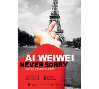 Ai Weiwei : Never Sorry