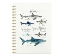 AICESE Spiral Notebooks 179