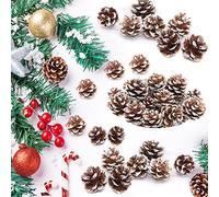 Aicharynic 24 Pièces Pommes de Pin de Noël, Mini Pommes de Pin Naturelles Séchées Pommes de Pin avec Ficelle Decorative pour la Table Arbre De Noël Halloween Noël Décoration d'Intérieur