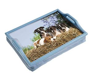 AIDAPT Plateau Repas en Bois avec Coussin, Chiots