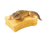 Aide à la des reptiles Outil d'exuviation réaliste résistant aux rayures | pierre artificielle pour la des reptiles Terrarium Habitat Réservoir Boîte Élevage Dragon Barbu Lézard