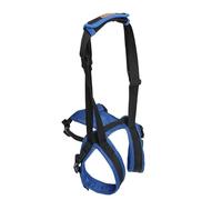 Aide à la marche avec mensonges de chien, support pour la jambe arrière | Assiettes de levage d'animaux pour animaux âgés ou handicapés, prise en charge par System-TOI