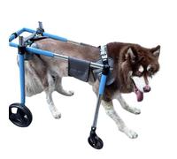 Aide à la mobilité intégrale pour chien - 4 - Support de roue, outil - Réglage libre, harnais ergonomique, cadre en aluminium durable (tailles XS à XXL) (XL)