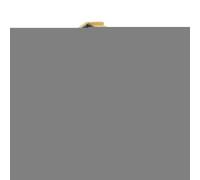 Aide à l'échelle d'escalade pour animaux de compagnie - Marches grises pour animaux, ascension du canapé canin, rehausseur de mobilité du chat, aide à l'accès pour les personnes âgées | Structure gris