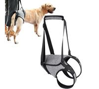 Aide À Soulèvement Des Chiens - Soutien Pour Les Chiens Blessés | Crockery De Réhabilitation, Harnais De Chien Avec Une Poignée, Aide À La Mobilité Pour L'arthrose, Ceinture De Soutien Aux Chiens Plus