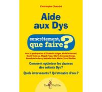 Aide aux dys - concrètement, que faire ? Comment optimiser les chances des enfants DYS - Christophe Chauche - Tom Pousse - broché - Guide