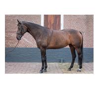 Aide de longe souple Harry's Horse - noir/blanc - L