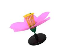 Aide pédagogique à la fleur de pêcher agrandie avec apprentissage | Modèle de structure végétale avec structure détaillée pour l ' enseignement de la biologie, l ' enseignement en classe