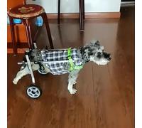Aides à la mobilité pour chien Fauteuil roulant léger pour soutien de rééducation - Attelle de jambe pour aider les animaux de compagnie à se tenir debout (XS)