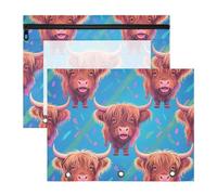 aidingzhi Lot de 2 trousses à crayons en plastique avec fenêtre transparente pour lettres A4 - Fournitures de salle de classe - Catone Lovely Brown Scottish Highland Bull