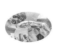 aidingzhi The Empire State Building Lit pour chat et chat avec selfie pour soulager le stress Taille XS