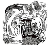 Aids Wolf & Athletic Auto - Split