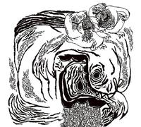 AIDS Wolf Clash Of The Life Force Warriors (Vinyl)