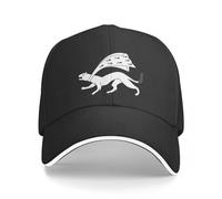 AIETPOIJ Casquette de Baseball Breton Hermine Bretagne Drapeau Bretagne emblème Symbole Gris foncé spécial 3 Autocollants Ensemble Fond HD Casquette de Baseball