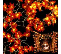 AIEX Lot de 2 Guirlande de Feuilles d'Automne, Automne Décoration Guirlande Lumineuse Total de 6m/40 LED, Étanche Guirlande de Feuilles Décoration de Table Automne Décorations d'Halloween
