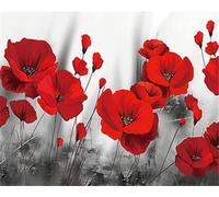 Aiforever Peinture par numéro coquelicot Kits peint à la main image par numéro fleur rouge sur toile pour adultes bricolage décoration de la maison 40x50cm