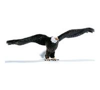 Aigle americain 75cm G