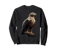 Aigle Pygargue à Tête Blanche Aigle Royal Pygargue à Queue Sweatshirt