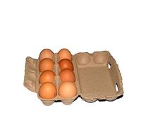 AIGOUT Boîtes à œufs pour 12 œufs - Lot de 5/10/20 cartons de boîtes biodégradables en pulpe recy grands œufs vides, style ferme, fournitures d’épicerie alternative au plastique (8 pièces, 10PCS)