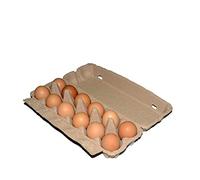 AIGOUT Boîtes à œufs pour 12 œufs - Lot de 5/10/20 cartons de boîtes biodégradables en pulpe recy grands œufs vides, style ferme, fournitures d'épicerie alternative au plastique (12 pièces, 10