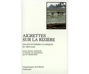 Aigrettes sur la rizière Collectif (Auteur)