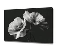 AIHNBF Tableau Coquelicot Noir et Blanc Décoration Florale Monochrome Art Mural pour Salon Chambre Déco Botanique Moderne Grandes Fleurs Impression sur Toile Chic Murales 20 x 30 cm
