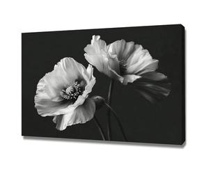 AIHNBF Tableau Coquelicot Noir et Blanc Décoration Florale Monochrome Art Mural pour Salon Chambre Déco Botanique Moderne Grandes Fleurs Impression sur Toile Chic Murales 20 x 30 cm