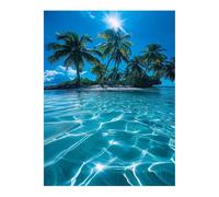 AIHNBF Tableau Mural Plage Tropicale Toile Imprimée, Paysage Océan Palmiers Île Eau Bleue, Décoration Côtière Sérénité Salon Chambre 60 x 90 cm