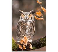 AIHNBF Tableau Toile Hibou Grand-Duc Majestueux Art Mural Animalier Réaliste Oiseaux Nature Décor Salon Chambre Rustique Tons Terre Automne 40 x 60 cm