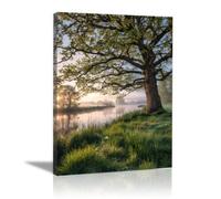 AIHNBF Tableau Toile Paysage Riviere Lever De Soleil Art Mural