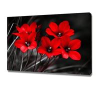 AIHNBF Toile Murale Fleurs Rouges Vives Art Moderne Noir et Blanc Imprimé Floral Décoration Salon Chambre Bureau Galerie Emballée 60 x 90 cm