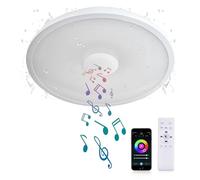 AIHONKON Plafonnier LED intelligent étanche, avec haut-parleur Bluetooth, fonction de RGB, éclairage réglable de, contrôle via l'application Tuya, compatible avec Alexa et Google Home