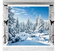 AIIKES 10x10FT Paysage enneigé Toile de Fond Forêt d'hiver Arbre de Neige Photographie Toile de Fond Ciel extérieur Champ de Neige d'hiver Paysage Couvert de Neige Pins Photo Studio Props 12-346