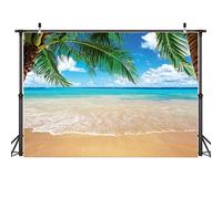 AIIKES 2.1Mx1.5M/7x5FT Été Tropical Plage Fond de Photographie Bord de mer Île Paume Arbre Toile de Fond Bleu Mer Ciel Ensoleillement Bébé Anniversaire Fête Décorations Photo Studio Prop 11-063
