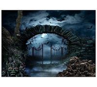 AIIKES 8x6FT Halloween Photographie Toile de Fond Halloween Nuit Cimetière Toile de Fond Horreur Sombre Nuit Clôture Porte De Fer Crâne Arbre Fond Pierre Tombale Scène Fond 12-342