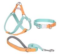 AIITLE Ensemble Harnais et Laisse pour Chien améliorés sans Traction - Harnais Licou pour Chien - Contrôle Facile pour la Marche - Marche pour Grands Chiens Vert-Jaune L